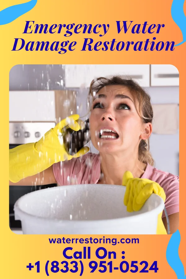Emergency Water Damage Restoration in Cricket, NC