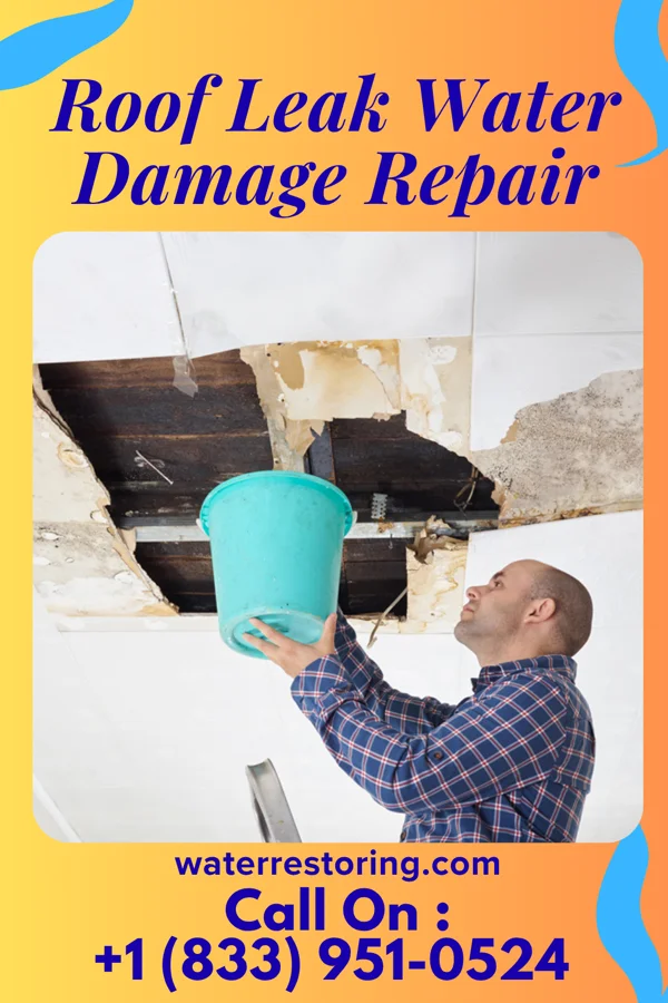 Roof Leak Water Damage Repair in Cricket, NC